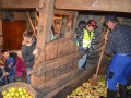 Etnološka prireditev Kučenje jabolk