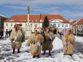 Kurenti v Ljutomeru