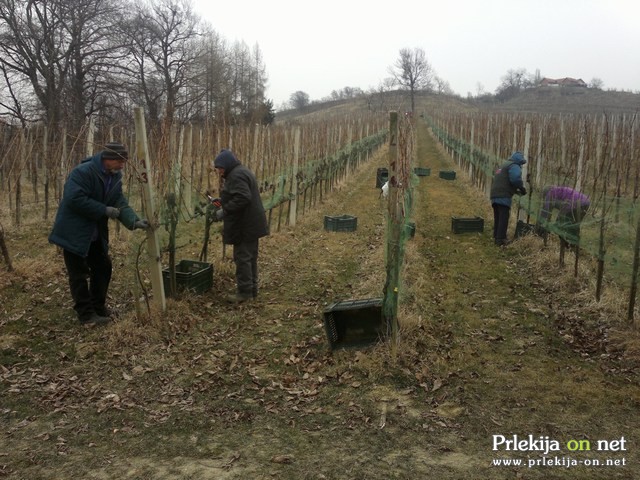 Turistična kmetija Frank Ozmec ga tudi ima - »ledeno vino«