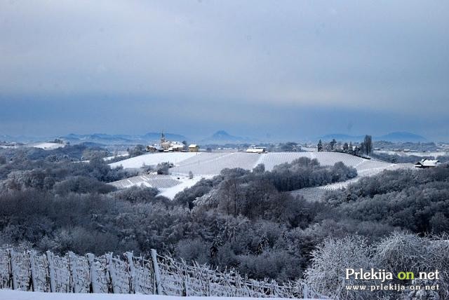 Pravljična lepota prleških vinogradov