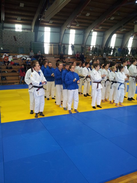 Judo Judo
