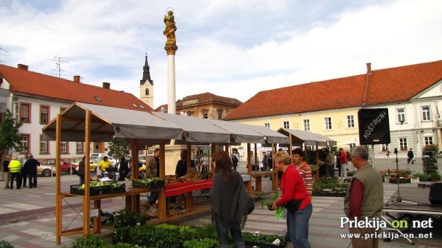 Lotmerk v cvetoči pomladi