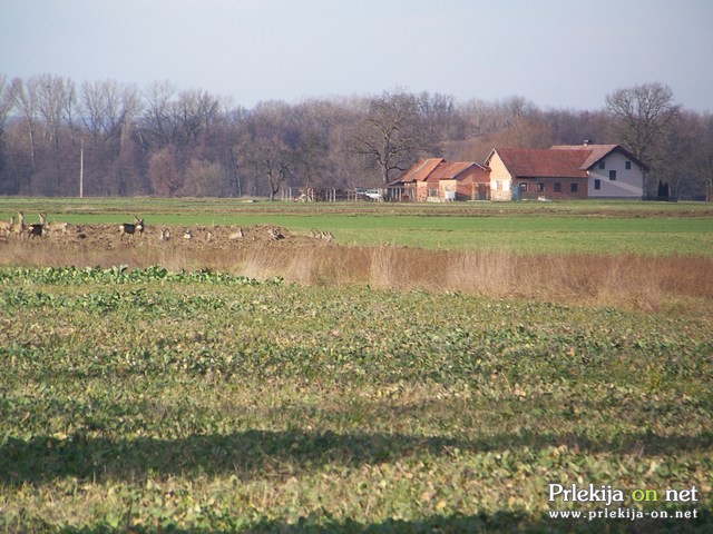 Lovski dom Križevci