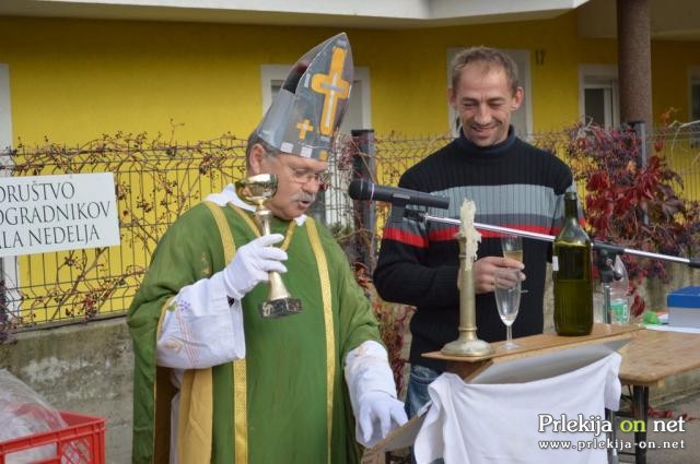 Martinovanje pri Mali Nedelji Martinovanje pri Mali Nedelji