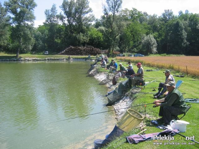 Ribiči Ribiči