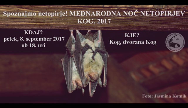 Mednarodna noč netopirjev Mednarodna noč netopirjev