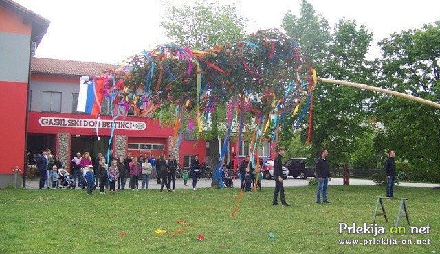 Postavljanje prvomajskega drevesa v Beltincih Postavljanje prvomajskega drevesa v Beltincih