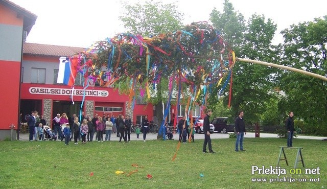 Postavljanje prvomajskega drevesa v Beltincih