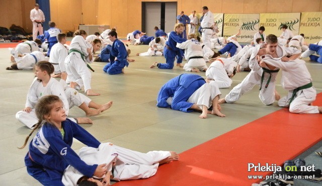 Priprave mladih judoistov v Ljutomeru