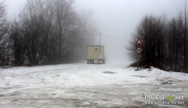 Poginulega laboda so dopoldan našli pri gramoznici v Babincih