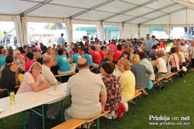 7. Posvet in srečanje gasilskih članic Pomurja 7. Posvet in srečanje gasilskih članic Pomurja