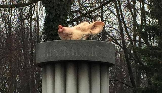 Svinjska glava na podstavku kipa, foto: FB