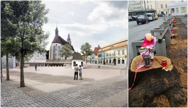 Tržnica, kot bi naj izgledala in podrta drevesa