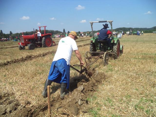 Na Vitanu so orali, kot nekoč