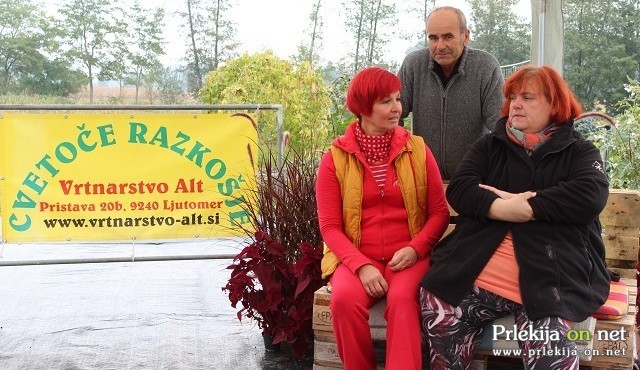Miša Pušenjak v Vrtnarstvu Alt Miša Pušenjak v Vrtnarstvu Alt