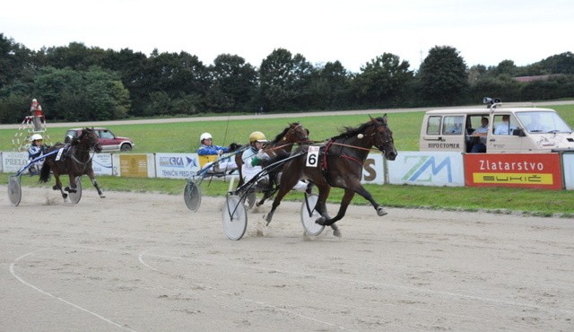 Pokal Pomurskega sejma, foto: sejem AGRA Pokal Pomurskega sejma, foto: sejem AGRA
