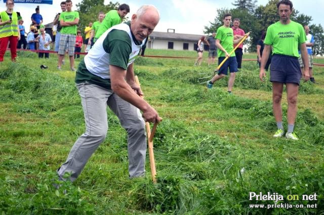 Najboljši slovenski kosci v Veliki Polani