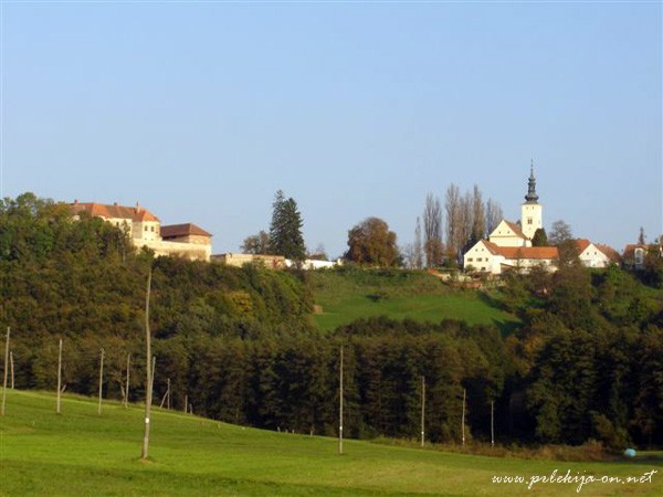 Negova