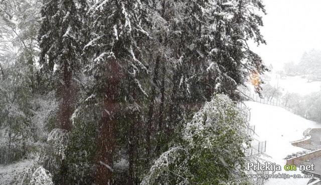 Sneg na Štajerskem