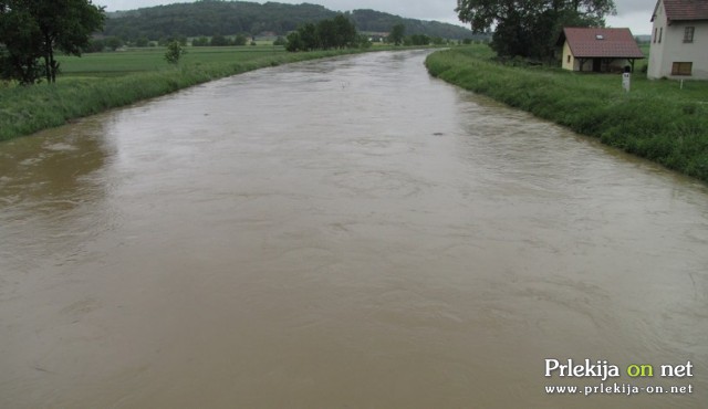 Narasla Ščavnica v Cezanjevcih