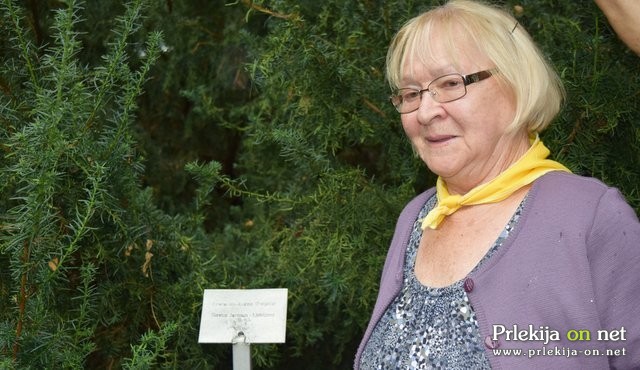 Slavka Jerman ob spominski tablici drevesa – breze Slavka Jerman ob spominski tablici drevesa – breze