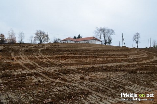 Obnova vinogradov v Železnih Dverih