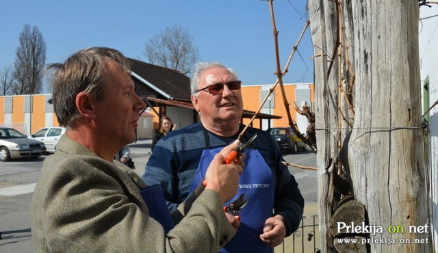 Rez vinske trte na Pomurskem sejmišču Rez vinske trte na Pomurskem sejmišču