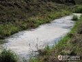 Onesnaženje potoka Trnava