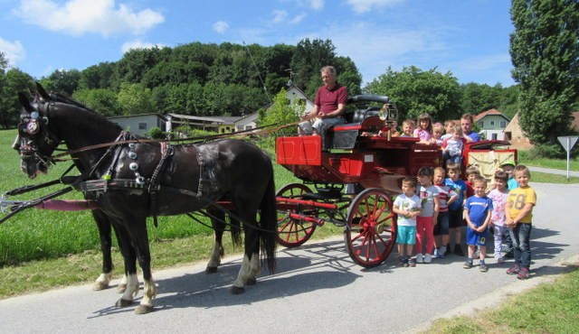 Otroci pri Turistični kmetiji Vrbnjak