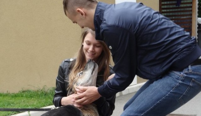 Pes Lucky našel nov dom Pes Lucky našel nov dom
