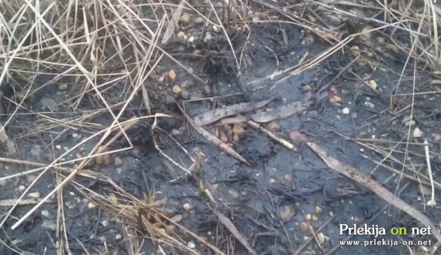 Laboratorijska analiza zemljine, ki je bila izvedena zadnja, je pokazala, da le-ta ni bila onesnažena s surovo nafto, so zapisali pri Petrol Geoterm Laboratorijska analiza zemljine, ki je bila izvedena zadnja, je pokazala, da le-ta ni bila onesnažena s surovo nafto, so zapisali pri Petrol Geoterm