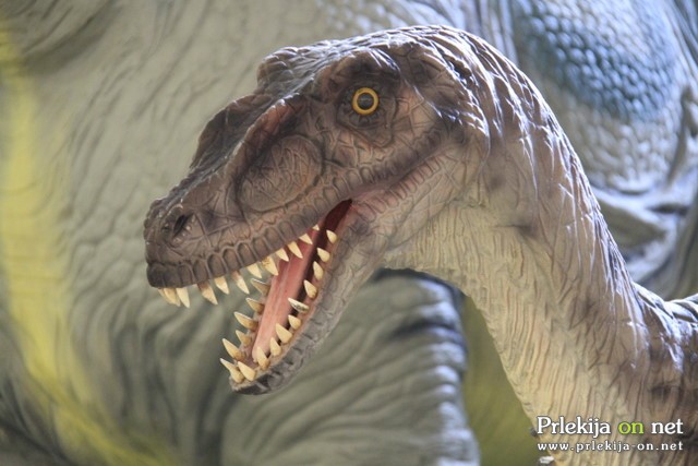 Razstava dinozavrov v Mariboru Razstava dinozavrov v Mariboru