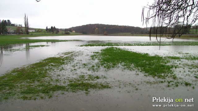Poplavljen travnik v Žerovincih
