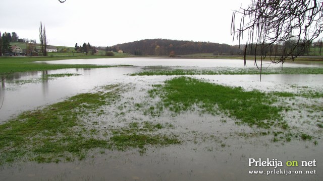 Poplavljen travnik v Žerovincih Poplavljen travnik v Žerovincih