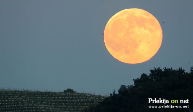 Junijska polna Luna - jagodna Luna Junijska polna Luna - jagodna Luna