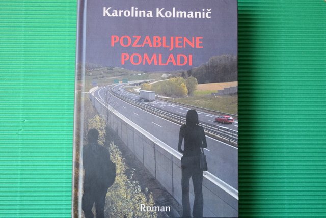 Pogovor s pisateljico Karolino Kolmanič