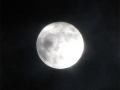 Polna Luna v perigeju