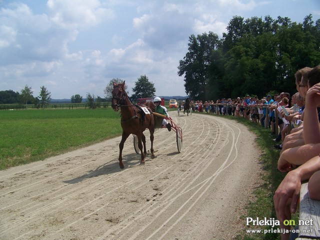 Kasaške dirke v Križevcih