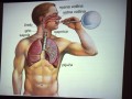 Predavanje Okužbe dihal