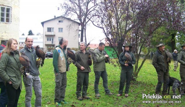 Predstavitev sokolarstva v Beltincih