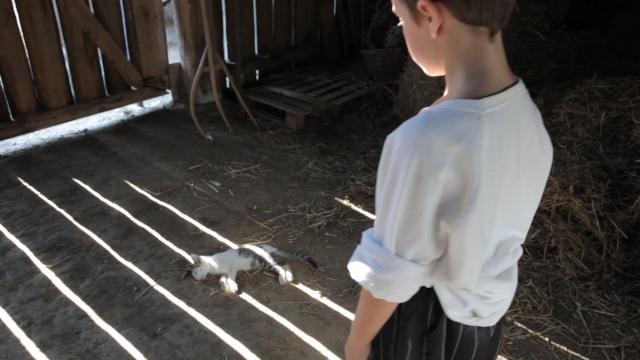 Premiera filma Mateja Kolmanka- MAČJI PASTIR