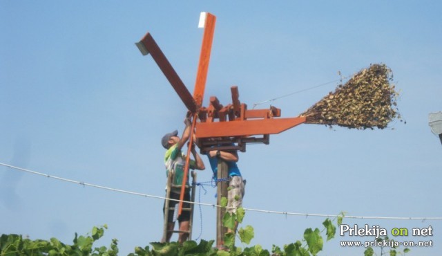 Postavljanje klopotca pri Škedenj baru Postavljanje klopotca pri Škedenj baru