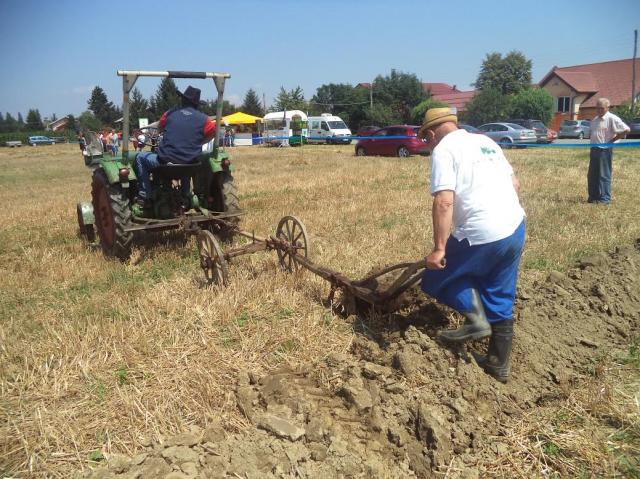 Prikaz in tekmovanje v oranju s plugi na stari način