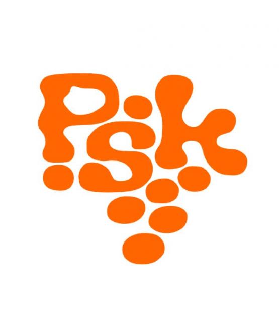 Prleški študentski klub (PŠK) razpisuje mesta za aktivno sodelovanje pri organizaciji projekov Dijaške sekcije prleškega študentskega kluba (DS PŠK)