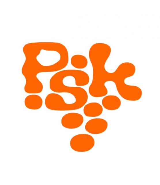 Prleški študentski klub (PŠK) razpisuje mesta za aktivno sodelovanje pri organizaciji projekov Dijaške sekcije prleškega študentskega kluba (DS PŠK) Prleški študentski klub (PŠK) razpisuje mesta za aktivno sodelovanje pri organizaciji projekov Dijaške sekcije prleškega študentskega kluba (DS PŠK)