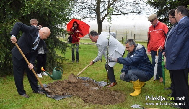16. Dan spominov in tovarištva na Petanjcih 16. Dan spominov in tovarištva na Petanjcih