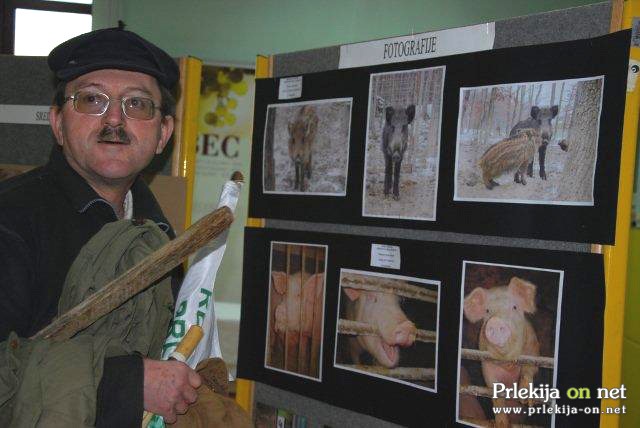 Nandek in fotografije prašičev Nandek in fotografije prašičev