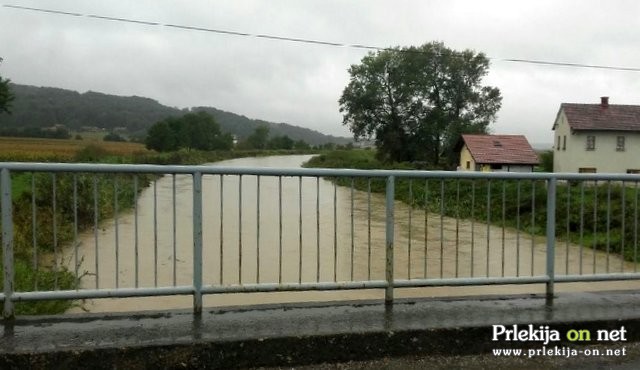 Ščavnica v Cezanjevcih