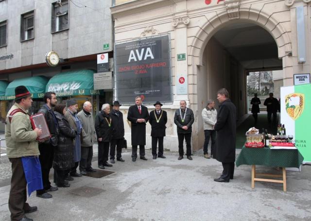 Rez Trstenjakove trte v Ljubljani