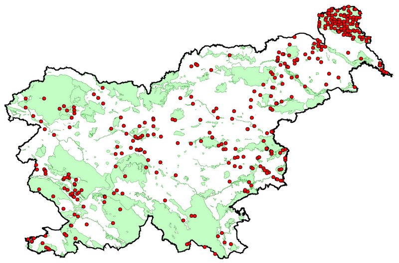 Pojavljanje rogača v Sloveniji